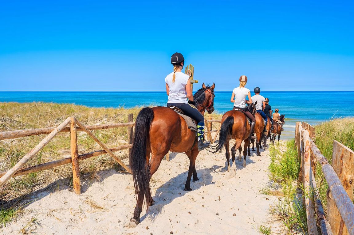 Horseback Beach Riding — Standard Macao