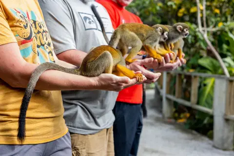 Monkeyland Punta Cana