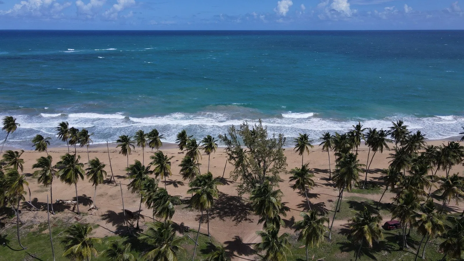 Playa Lavacama (La Vacama)
