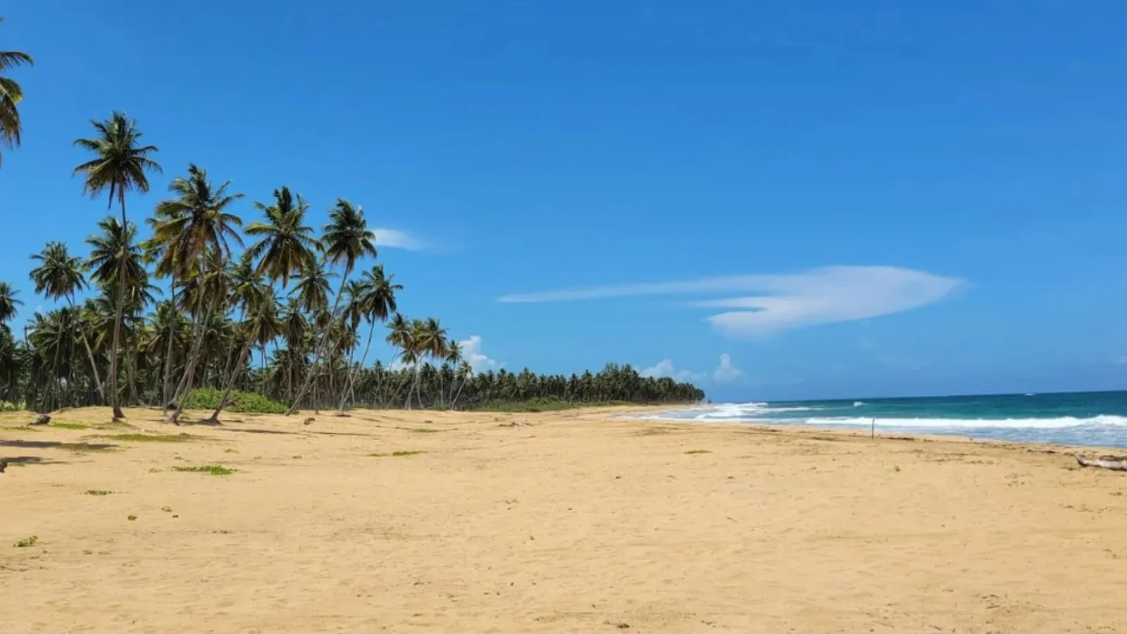 Playa Limón (Miches)