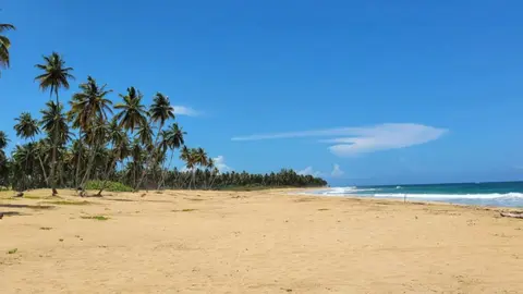Playa Limón (Miches)