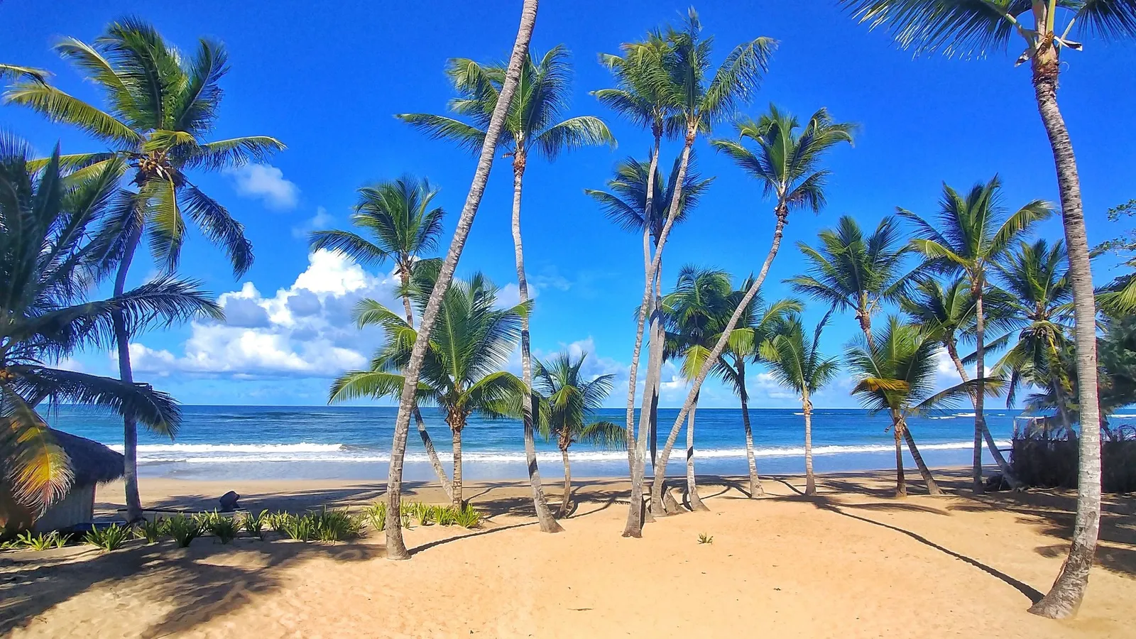 Playa Uvero Alto